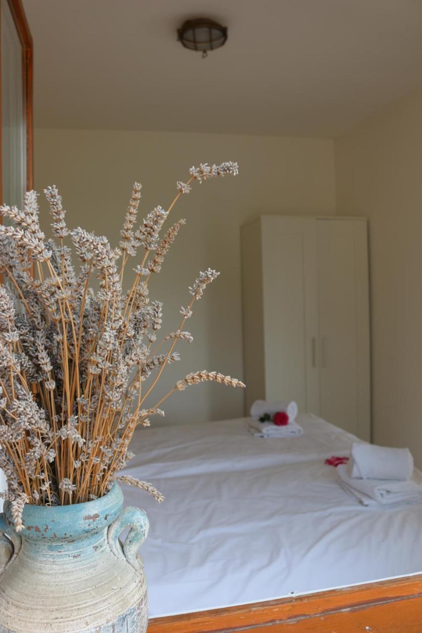 Piran Beach House - Private Oasis - Beachfront Apartment With A Sea View Terrace Dış mekan fotoğraf